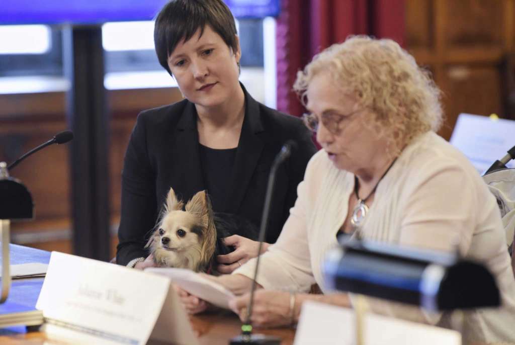 Julianne White, 76, appears with dog at Court of Appeals at hearing on civil legal services for poor